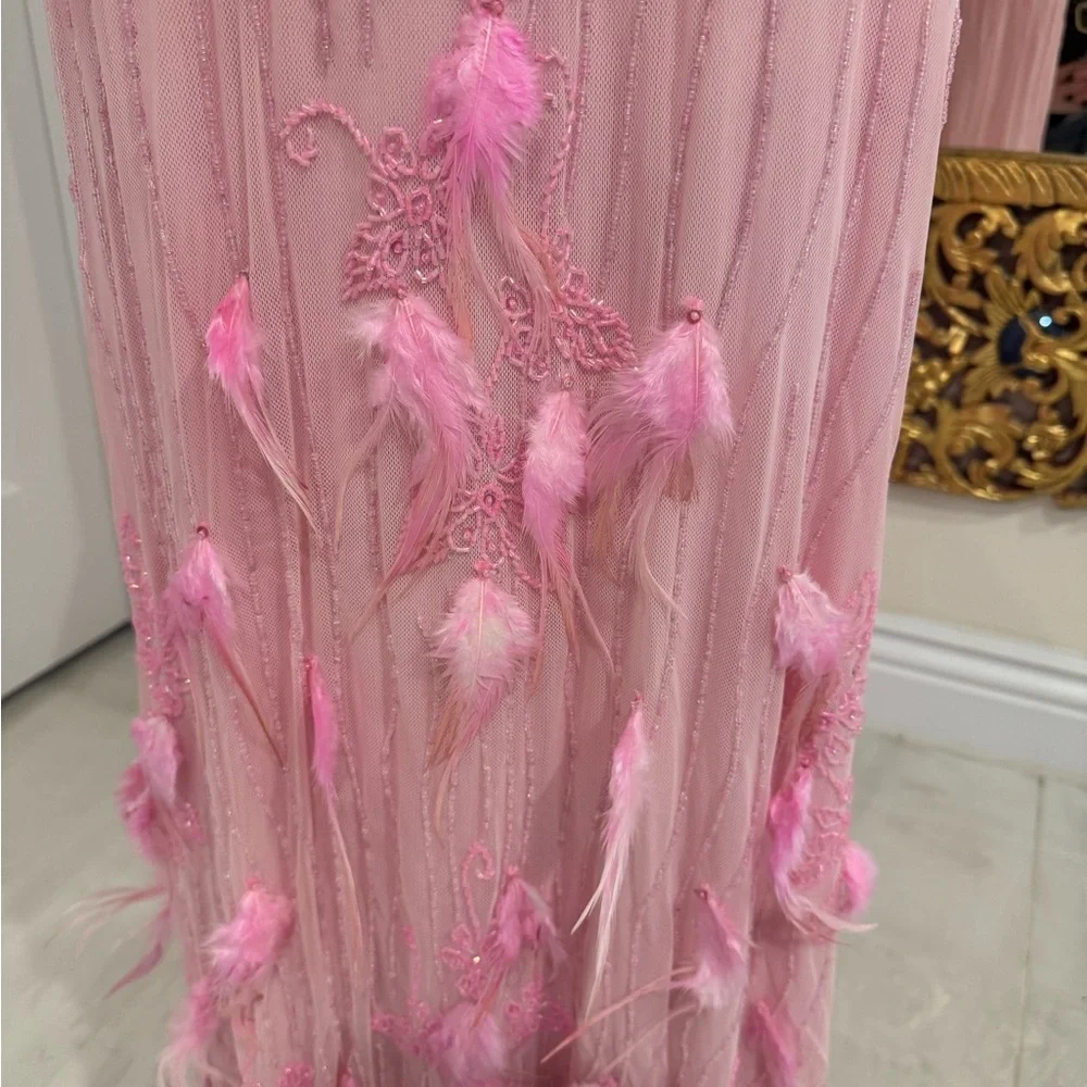 Elegant Pink hand beaded Evening or Prom Dress FEATHERS - Women's Formal‎ Gown